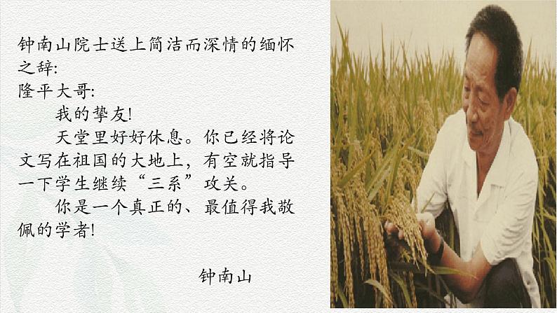 《喜看稻菽千重浪》-2024-2025学年高一基础模块上册同步备课教学课件(高教版2023)07