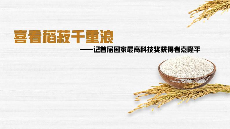 部编高教版2023 中职语文基础模块上册 《喜看稻菽千重浪》-课件+教学设计02