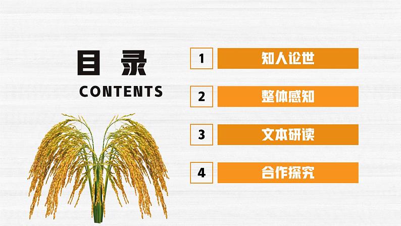 部编高教版2023 中职语文基础模块上册 《喜看稻菽千重浪》-课件+教学设计03