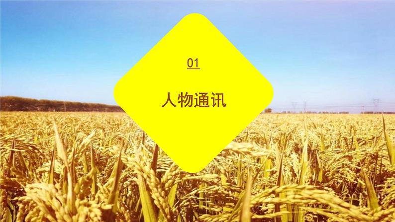 第5.2课《喜看稻菽千重浪》:科技兴农,农业强国【中职专用】高一语文课件(高教版2023基础模块上册)第6页