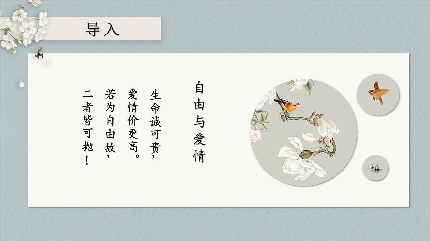 【中職專用】高一語文同步（高教版2023基礎模塊上冊）第2.1《詩二首 我愿意是急流》課件第3頁