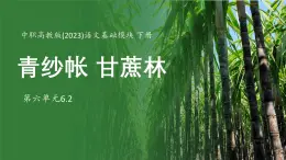 中职高教版(2023)语文基础模块下册-第六单元6.2青纱帐 甘蔗林【课件】