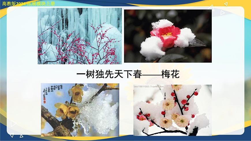 《病梅館記》課件-【中職專用】高二語文同步講堂（高教版2024拓展模塊上冊(cè)）第7頁(yè)