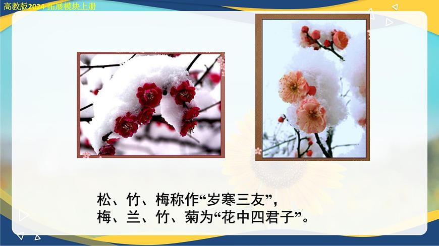 《病梅館記》課件-【中職專用】高二語文同步講堂（高教版2024拓展模塊上冊(cè)）第8頁(yè)