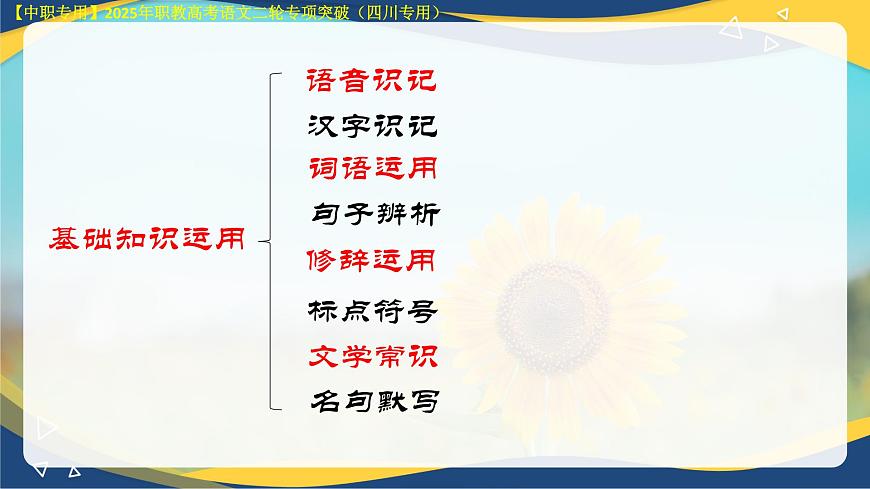 專項(xiàng)04:句子辨析(課件)-【中職專用】2025年對(duì)口升學(xué)語文二輪專項(xiàng)突破(四川專用)第3頁