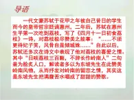 【中職專(zhuān)用】高中語(yǔ)文  高教版  職業(yè)模塊 《南州六月荔枝丹》教學(xué)課件