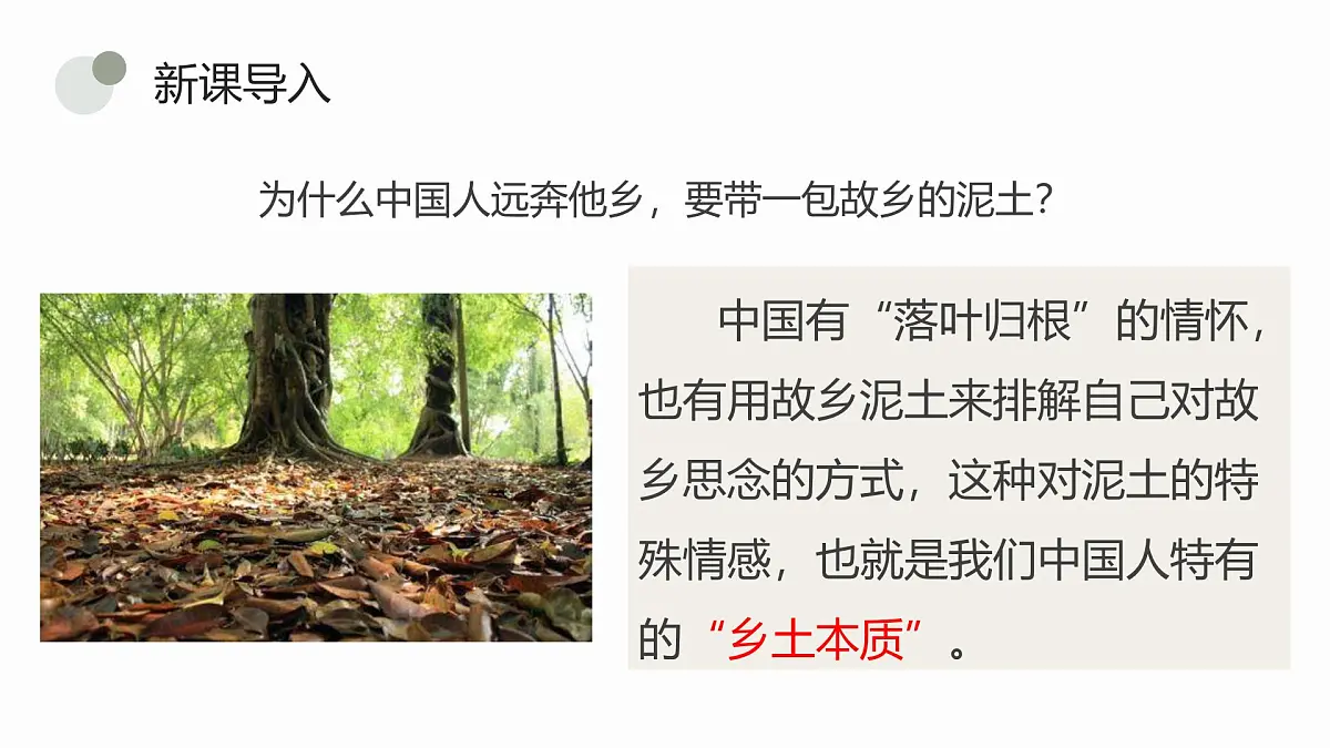 部编高教版2023 中职语文 基础模块下册 第四单元 乡土中国-课件第5页