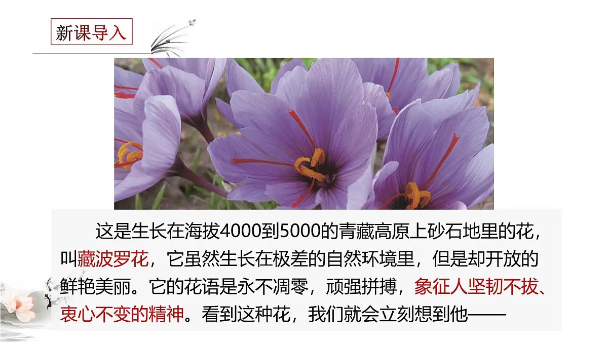 部编高教版2023 中职语文 职业模块 第一单元第三课 “探界者”钟扬-课件第4页