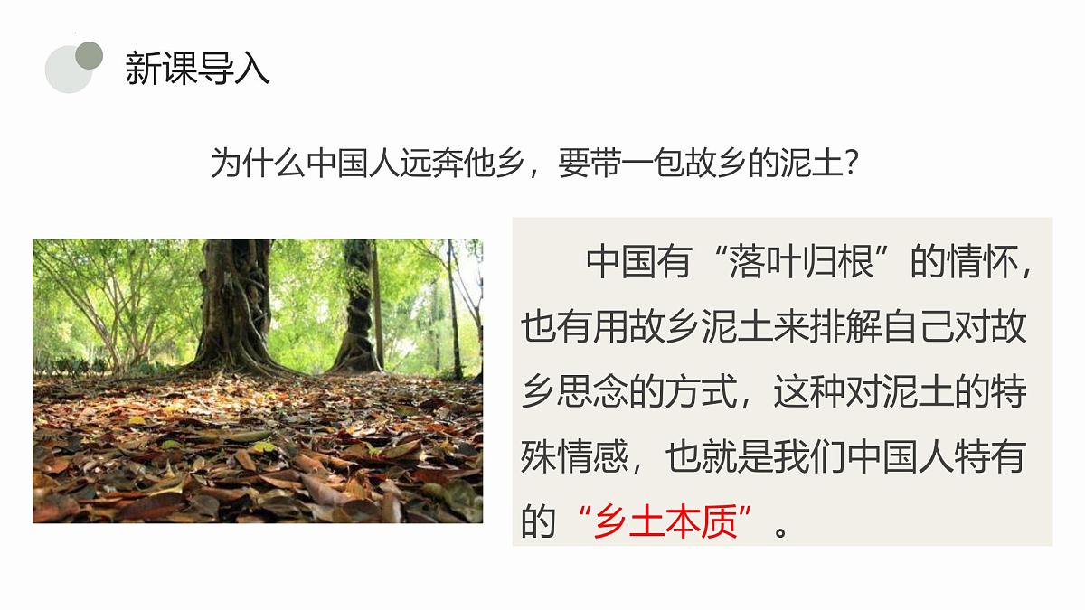 《乡土中国》课件第5页
