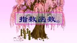 高教版中職數(shù)學基礎模板上冊4.2.1指數(shù)函數(shù)及其圖像與性質課件PPT