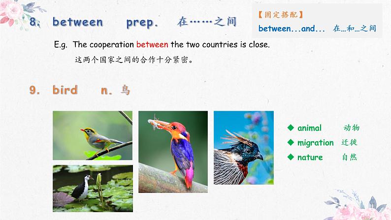 体育单招英语高频常见单词讲解PPT——Lesson1208
