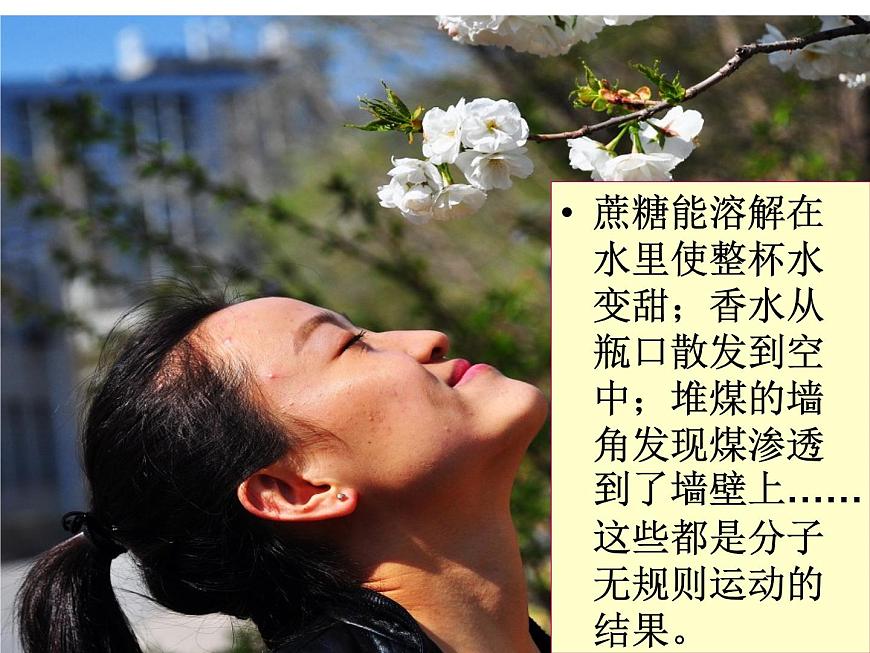 人教版物理（中職）通用類 3.1 分子動(dòng)理論 課件第3頁