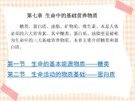 中職化學(xué)第7章《生命中的基礎(chǔ)營(yíng)養(yǎng)物質(zhì)》課件