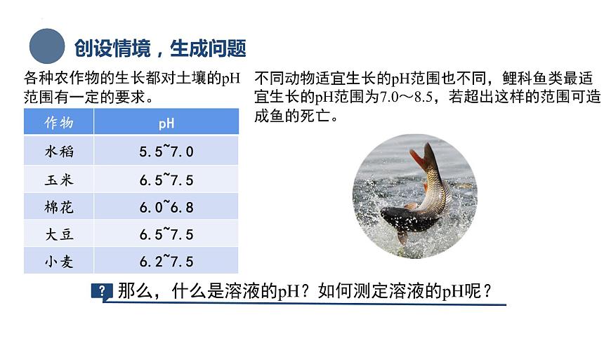 中職化學(xué) 高教版2021 農(nóng)林牧漁類 同步課堂 主題三 第二節(jié) 水的離子積和溶液的pH（課件）第3頁