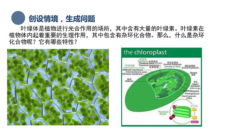 中职化学 高教版2021 农林牧渔类 同步课堂 专题四 第一节 杂环化合物(课件)03