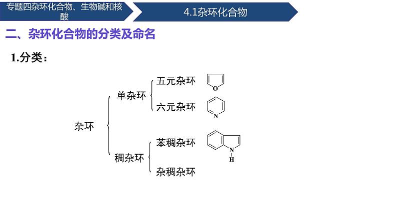 中职化学 高教版2021 农林牧渔类 同步课堂 专题四 第一节 杂环化合物(课件)07