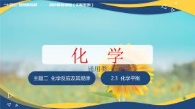 化学化学通用类第三节 化学平衡完美版ppt课件