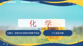 化学第五节 盐的水解完美版ppt课件