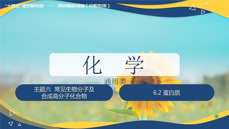 6.2 蛋白質(zhì)（課件）-【中職專用】高中化學(xué)（高教版2021通用類）第1頁(yè)