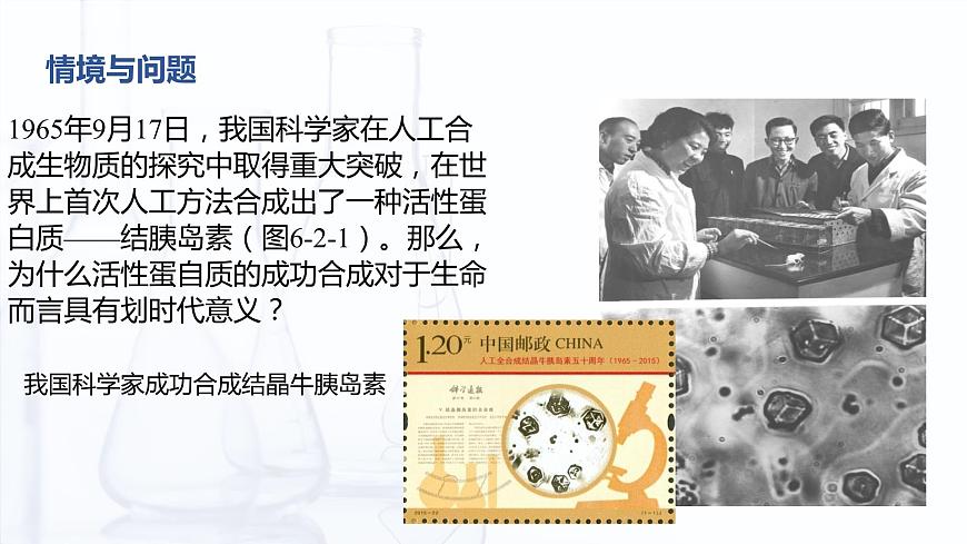 6.2 蛋白質(zhì)（課件）-【中職專用】高中化學(xué)（高教版2021通用類）第3頁(yè)