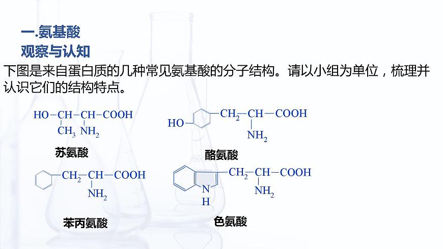 6.2 蛋白質(zhì)（課件）-【中職專用】高中化學(xué)（高教版2021通用類）第5頁(yè)