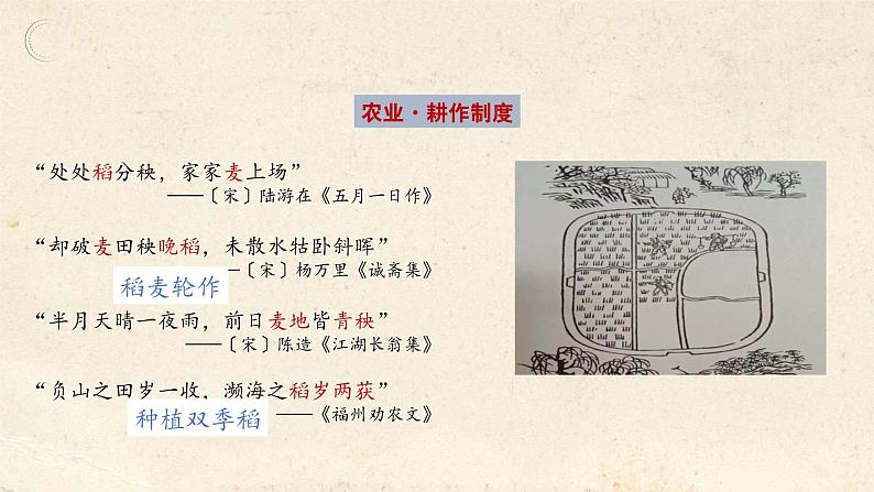 统编版中国历史第11课《 宋元时期的经济、科技与文化》课件+教案+习题07