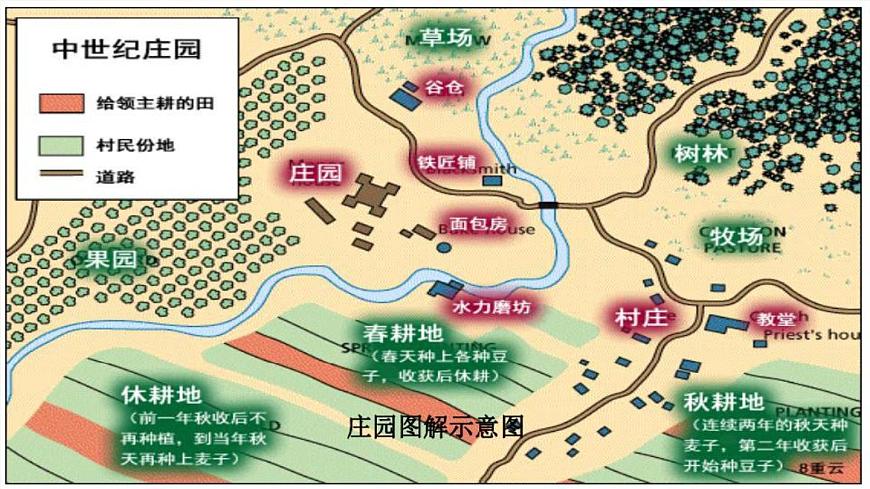 部編高教版2023 中職歷史-世界歷史 第三課 中古時(shí)期的西歐課件第8頁
