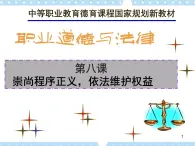 第八课 崇尚程序正义 依法维护权益 课件