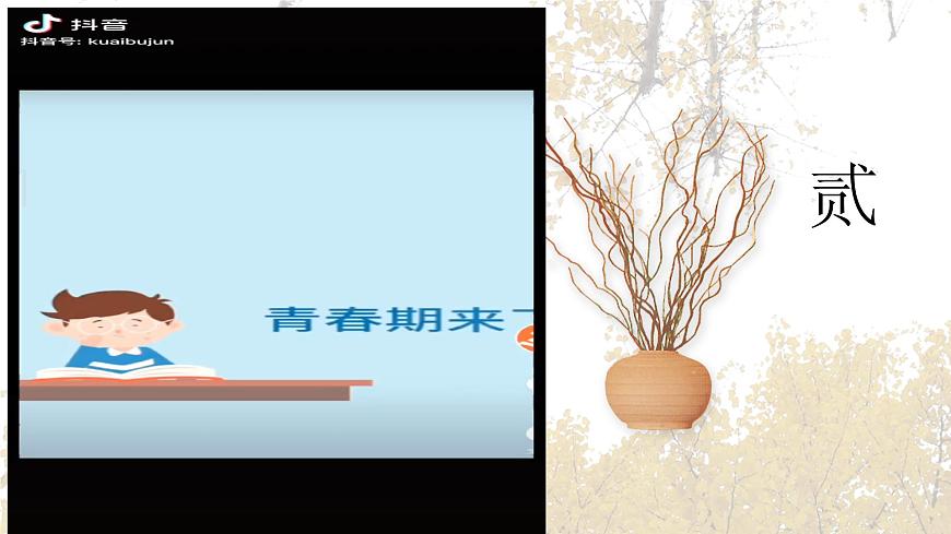 【2023部編高教版】中職政治 心理健康與職業(yè)生涯第六課 呵護(hù)花季  激揚(yáng)青春-課件第4頁