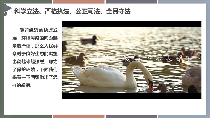 8.1建设法治国家(精品课件)-【中职专用】中职思想政治《职业道德与法治》同步精品课堂(高教版2023·基础模块)第4页