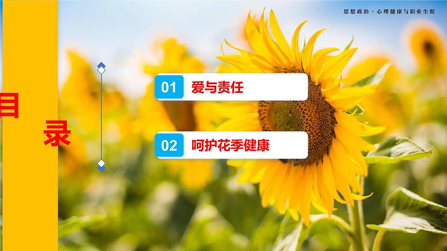 第6課《呵護(hù)花季 激揚(yáng)青春》第2框《萌動(dòng)的青春情》-【中職專(zhuān)用】《心理健康與職業(yè)生涯》同步課堂精品課件第4頁(yè)