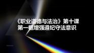 政治 (道德与法治)职业道德与法治第10课 养成遵纪守法好习惯课文配套课件ppt