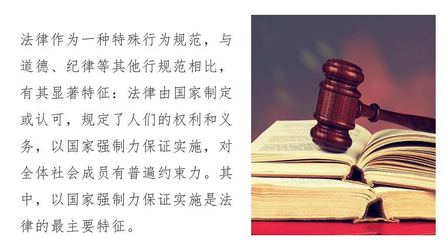 第10課 養(yǎng)成遵紀(jì)守法好習(xí)慣課件第8頁