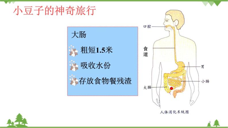 大班健康食物旅行记ppt课件教案