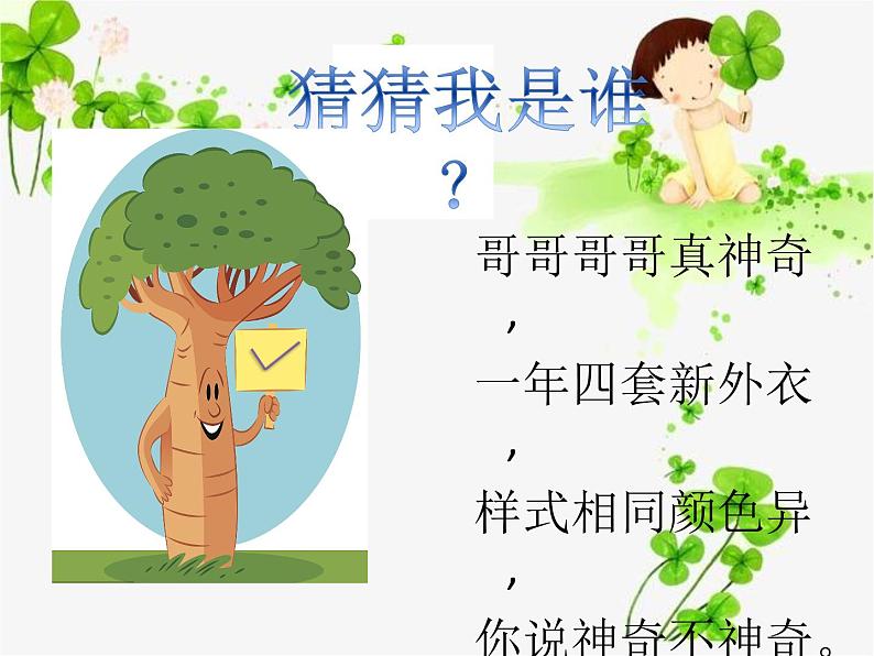 大班科学《大树的新外衣》课件第4页