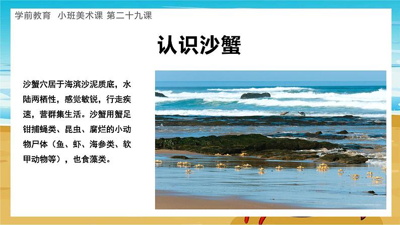 幼儿园小班美术课 第二十九课《飞快的沙蟹》课件+教案03