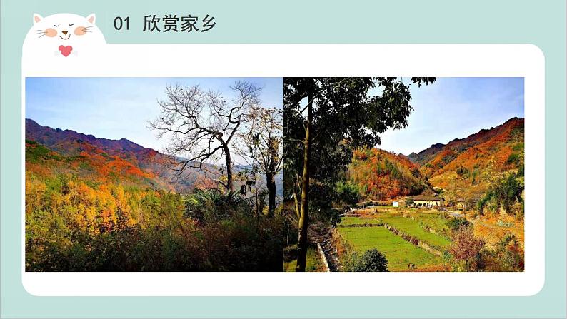 小班艺术《秋天的树叶》课件第3页