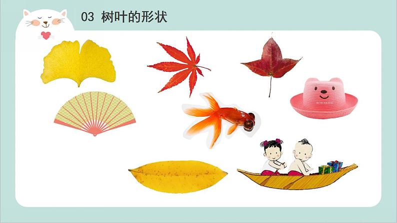 小班艺术《秋天的树叶》课件第8页