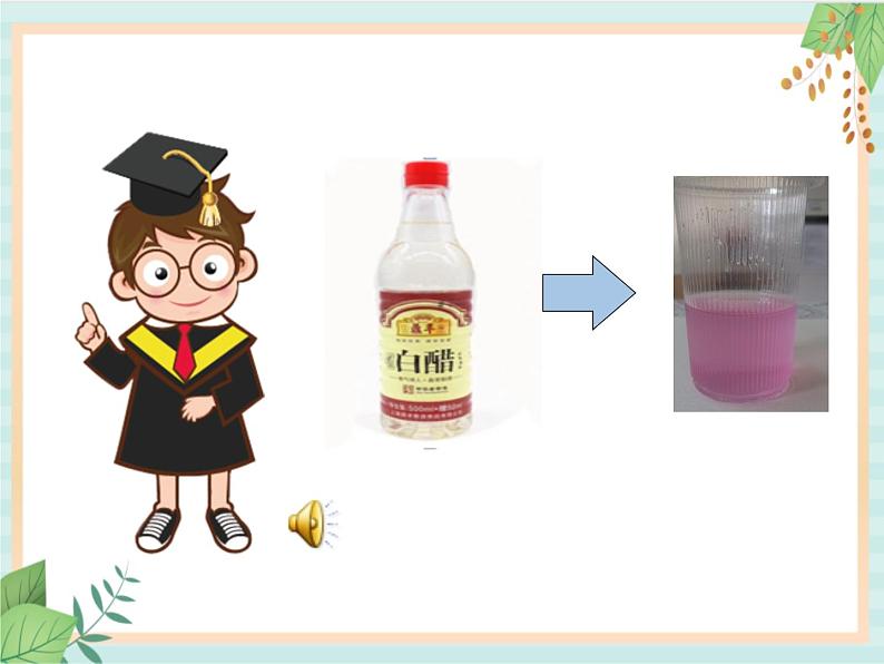 中班科学《奇妙的紫甘蓝汁》课件第4页