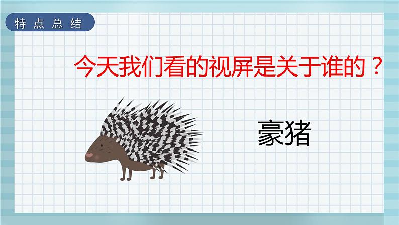 学前教育艺术课件《有趣的豪猪》-小豆芽老师第4页