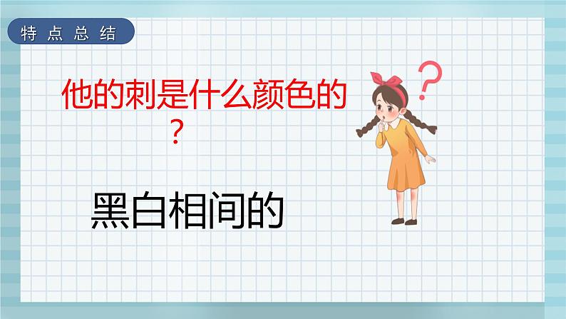 学前教育艺术课件《有趣的豪猪》-小豆芽老师第7页