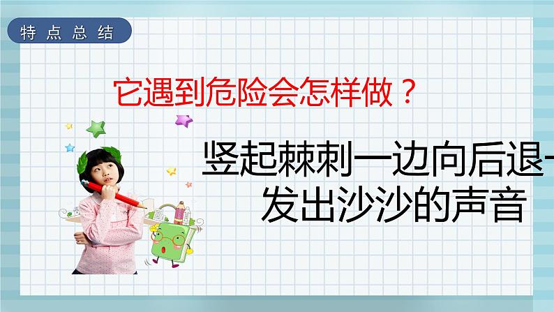 学前教育艺术课件《有趣的豪猪》-小豆芽老师第8页