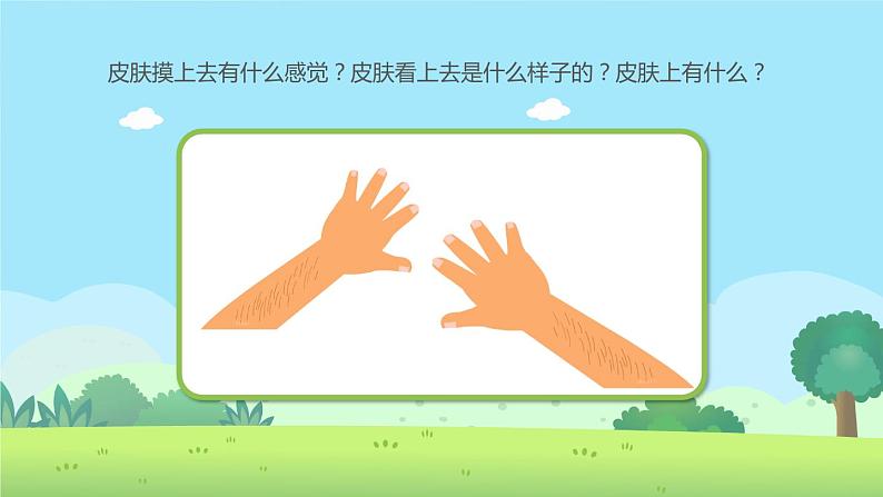 幼儿园通用【健康内容】主题班会精品教学PPT课件(三十一)04