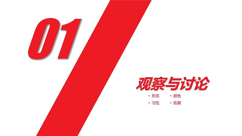 香菇 少儿美术课件第3页