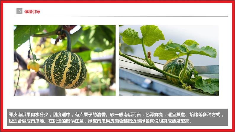 青皮南瓜 少儿美术课件第5页
