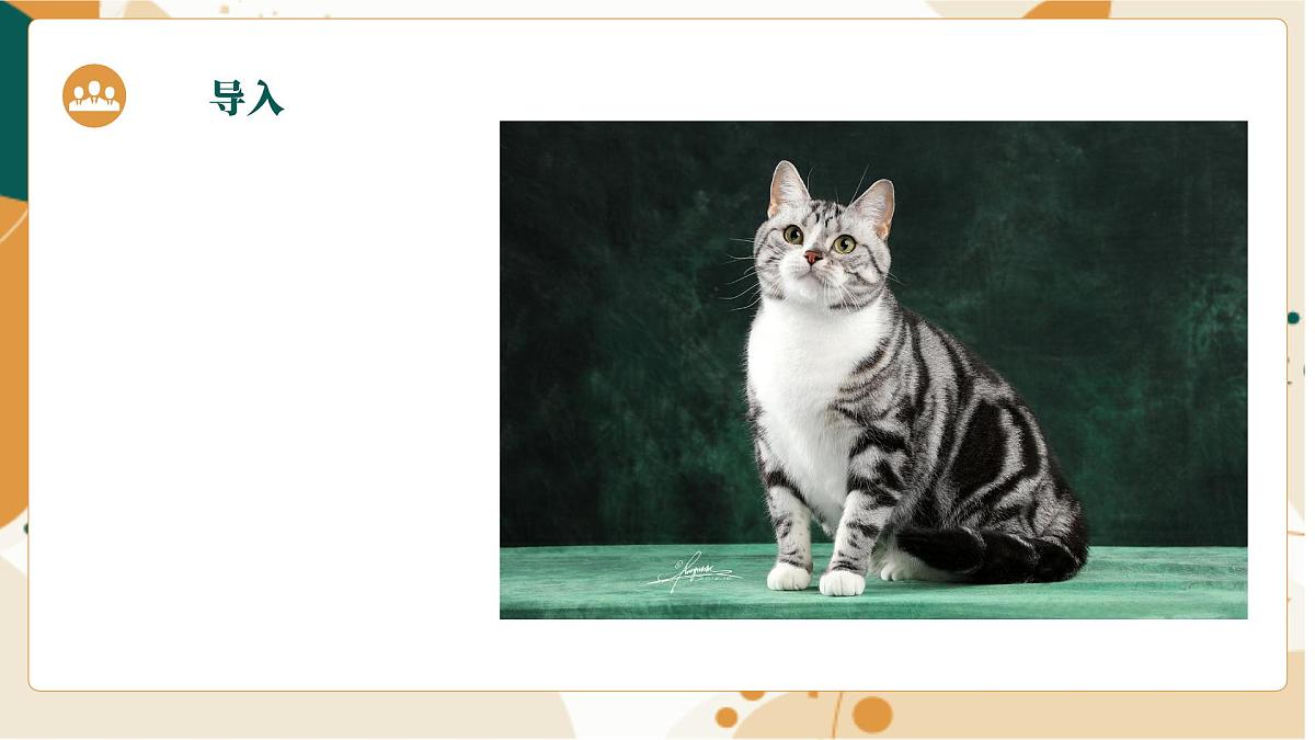大班《猫咪和毛线球》+课件第5页