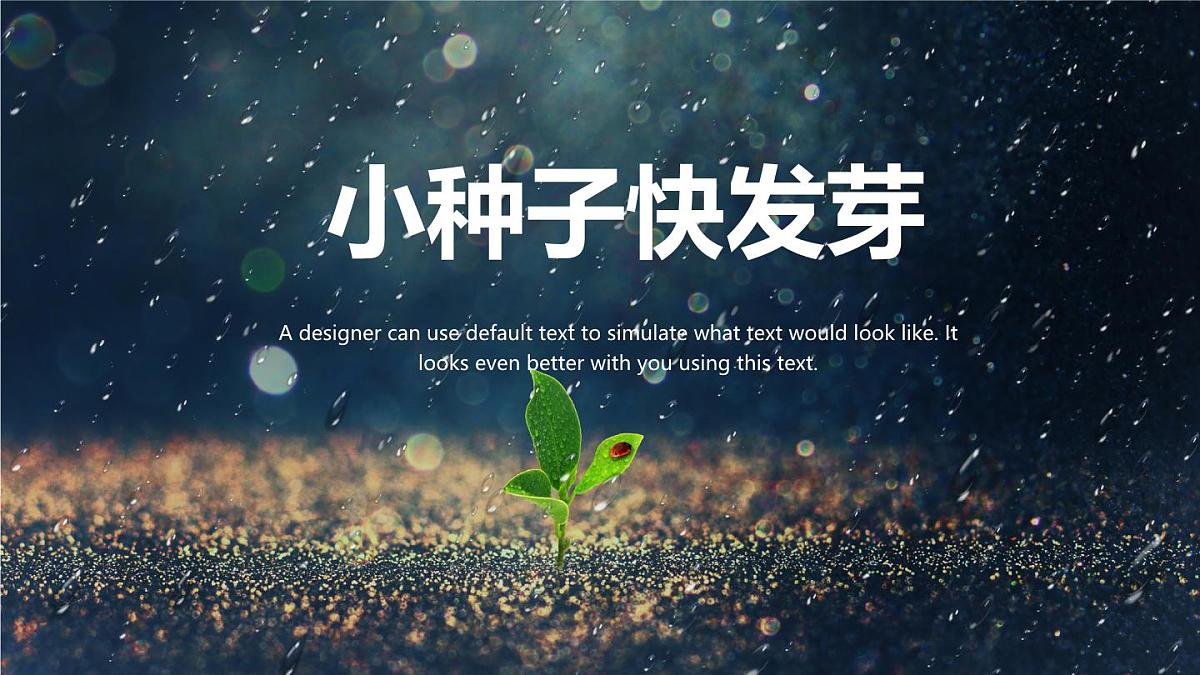大班《小种子快长大》+课件第1页