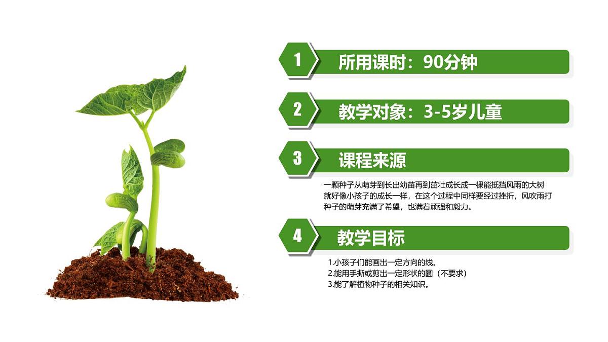大班《小种子快长大》+课件第2页