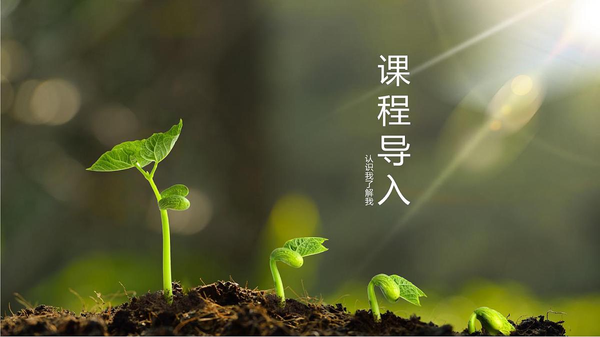 大班《小种子快长大》+课件第3页