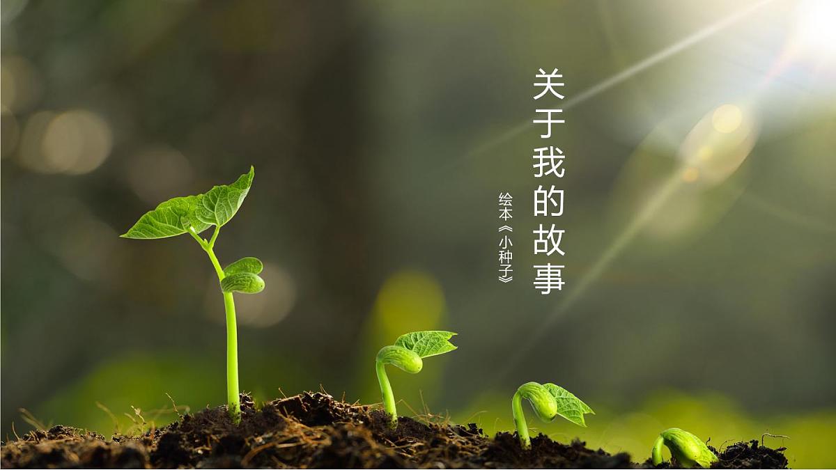 大班《小种子快长大》+课件第7页